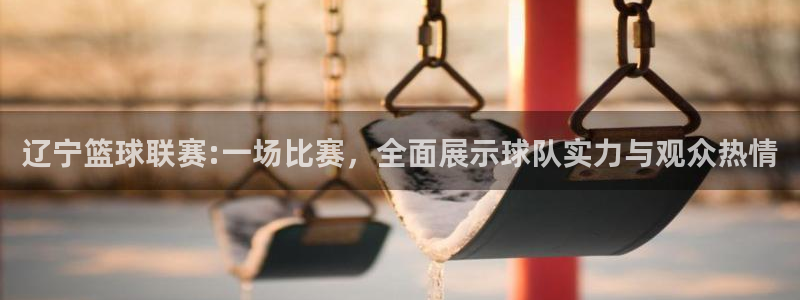 辽宁篮球联赛:一场比赛，全面展示球队实力与观众热情
