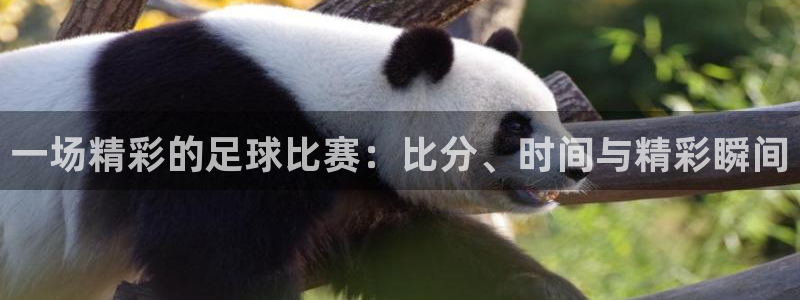 一场精彩的足球比赛：比分、时间与精彩瞬间