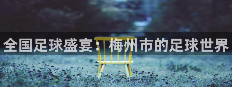  全国足球盛宴：梅州市的足球世界