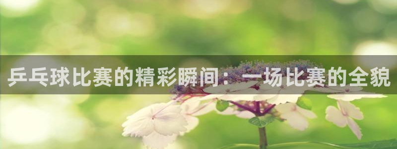  VSport胜利因你更精彩：乒乓球比赛的精彩瞬间：一场比赛的