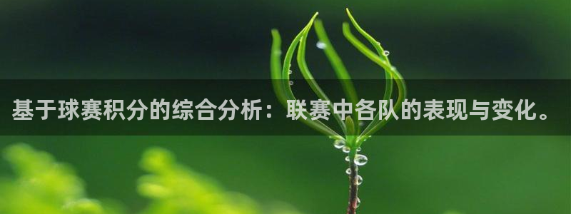  vsports属于什么档次：基于球赛积分的综合分析：联赛中各
