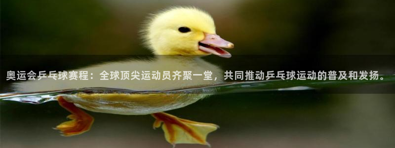  VSPORT是哪国的品牌：奥运会乒乓球赛程：全球顶尖运动员齐