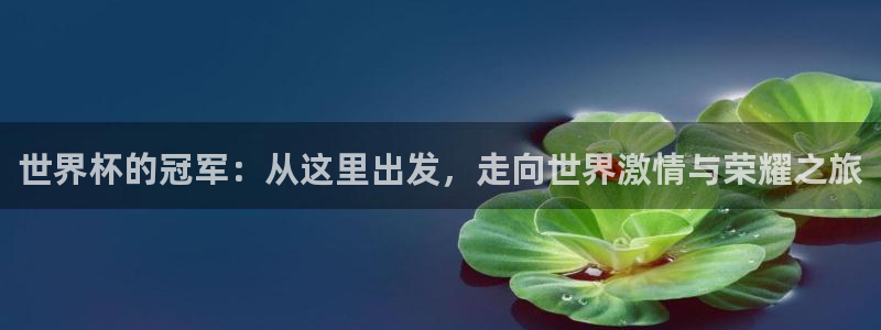  vsports地狱汉堡：世界杯的冠军：从这里出发，走向世界激