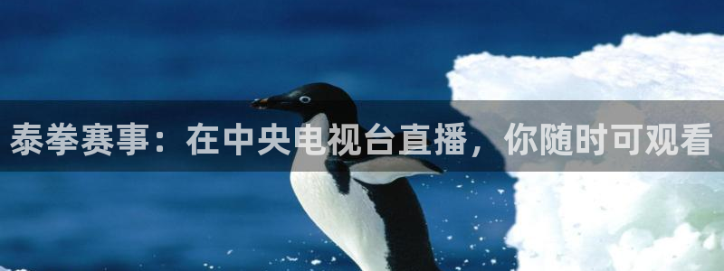 vsport体育app：泰拳赛事：在中央电视台直播，你随时可