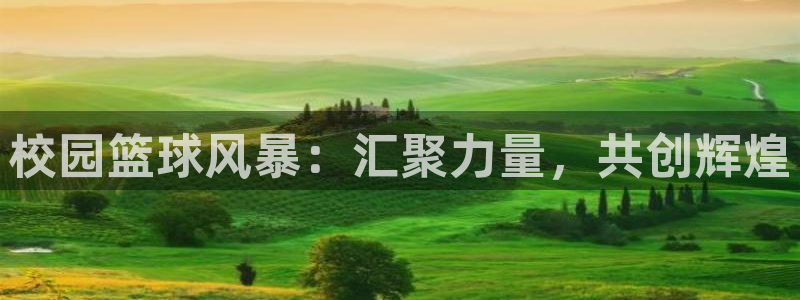  vsports运动餐吧北京三里屯店大众点评：校园篮球风暴：汇