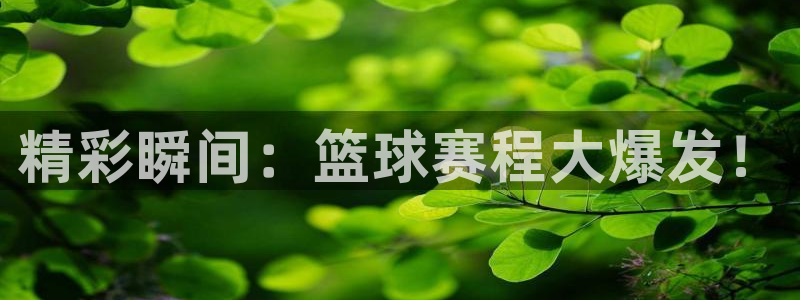 vsport胜利因你而精彩阿根廷：精彩瞬间：篮球赛程大爆发！