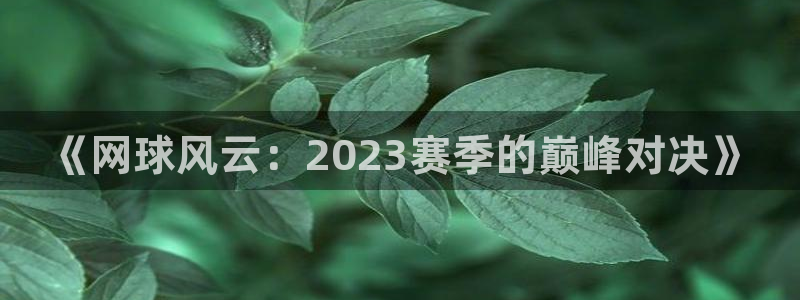  vsports：《网球风云：2023赛季的巅峰对决》