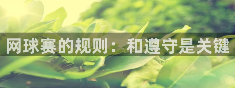 VSport胜利因您更精彩阿根廷：网球赛的规则：和遵守是关键