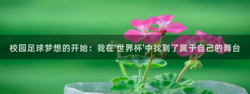 vsports下载：校园足球梦想的开始：我在\'世界杯\'中