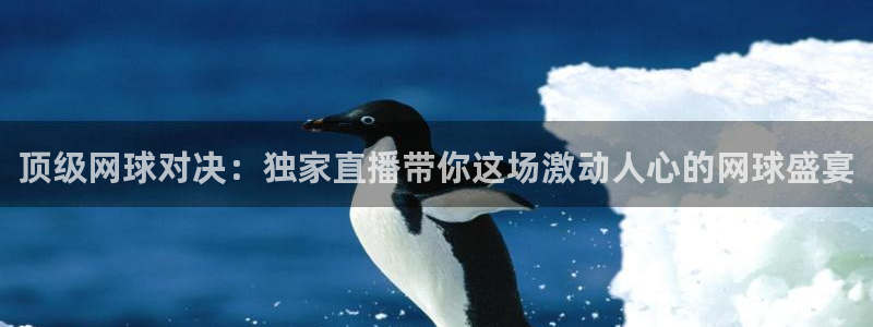  vsports：顶级网球对决：独家直播带你这场激动人心的网球