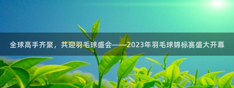  vsport体育祝贺阿根廷成为：全球高手齐聚，共迎羽毛球盛会