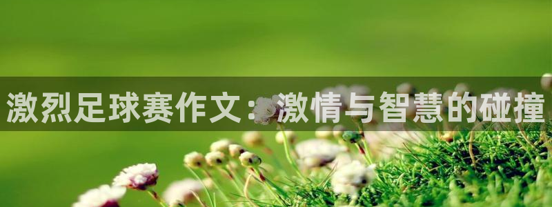  vsport体育中文版下载：激烈足球赛作文：激情与智慧的碰撞