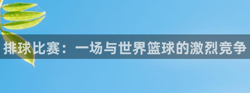 vsport体育在线官网手机版：排球比赛：一场与世界篮球的激