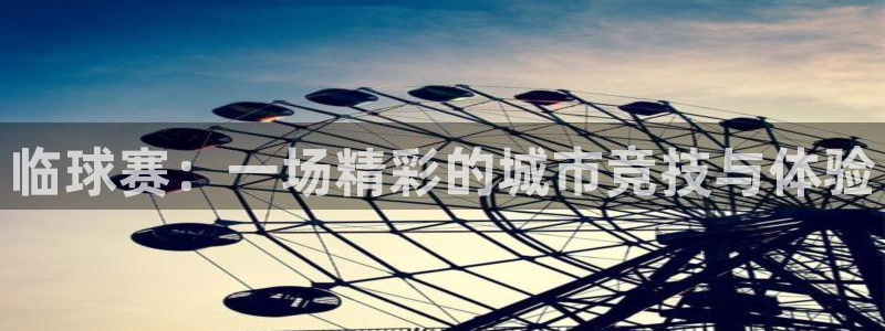 vsport体育官网入口：临球赛：一场精彩的城市竞技与体验