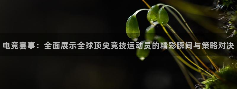 vsport体育在线官网阿根廷：电竞赛事：全面展示全球顶尖竞