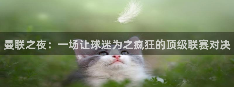  VSport体育官网入口：曼联之夜：一场让球迷为之疯狂的顶级