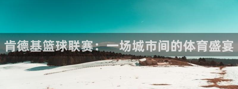  VSPORT什么意思：肯德基篮球联赛：一场城市间的体育盛宴