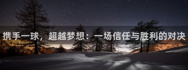 vsport体育app官网下载安卓：携手一球，超越梦想：一场