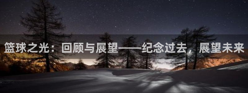  VSports平台登录入口：篮球之光：回顾与展望——纪念过去